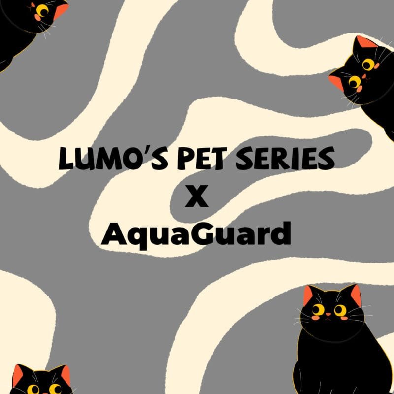 AquaGuard Non-Slip Quick-Dry Mat - Lumo's Pet Series
